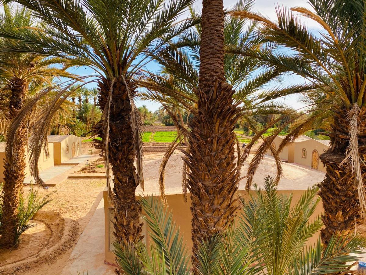 Camp Auberge Sahara Marokko M'Hamid Eksteriør billede