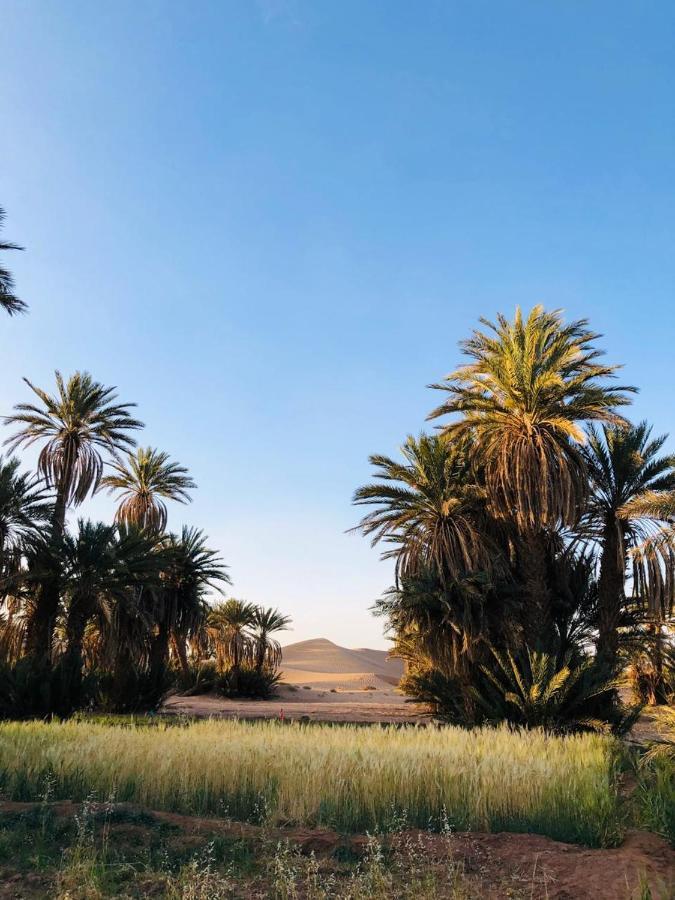 Camp Auberge Sahara Marokko M'Hamid Eksteriør billede